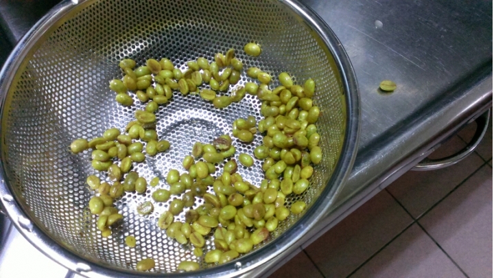 土炮咖啡豆處理記錄