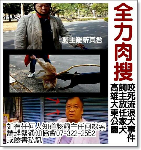 高雄大東公園有一飼主放任自家比特犬狠咬流浪犬