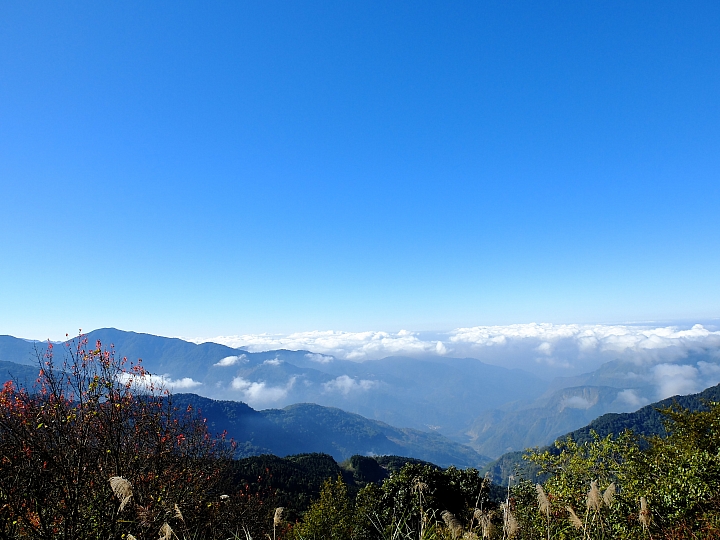 「乘著風，塔塔加踏青」