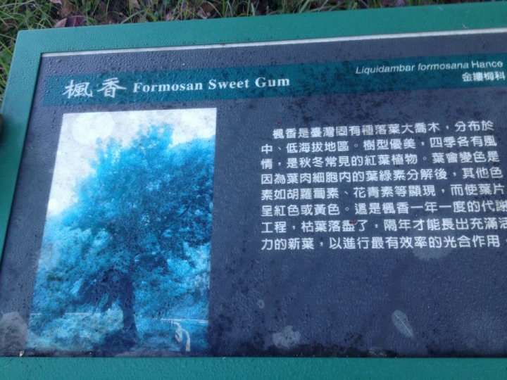 1040105 台20線圓夢之旅
