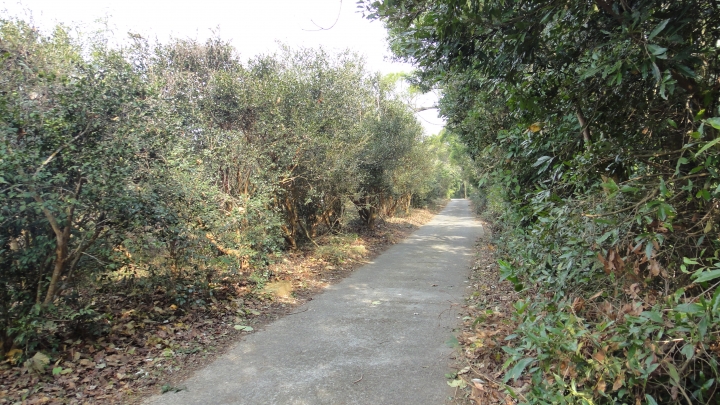 2015-01-03誤入歧途之台13線穿越九華山之旅