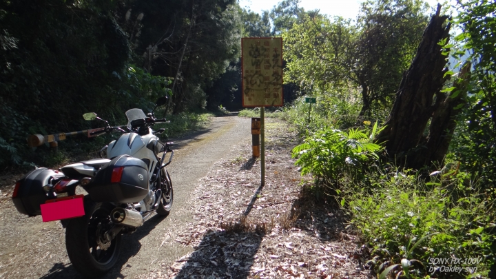 On the road again 2015/01/15 "裡冷林道" 驚鴻一撇