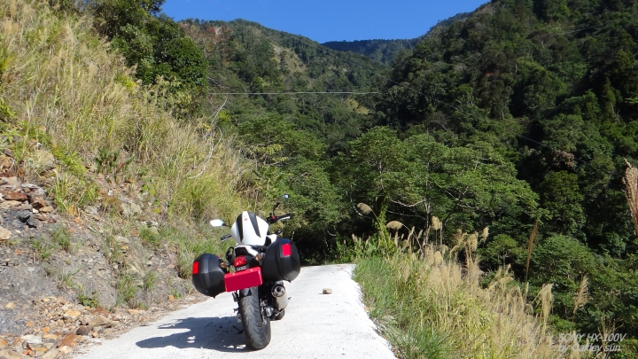 On the road again 2015/01/15 "裡冷林道" 驚鴻一撇