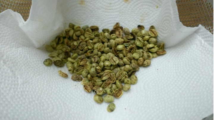 土炮咖啡豆處理記錄