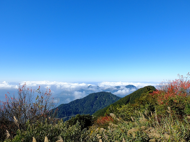 「乘著風，塔塔加踏青」