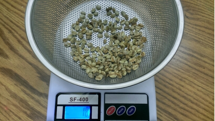 土炮咖啡豆處理記錄