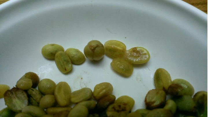 土炮咖啡豆處理記錄