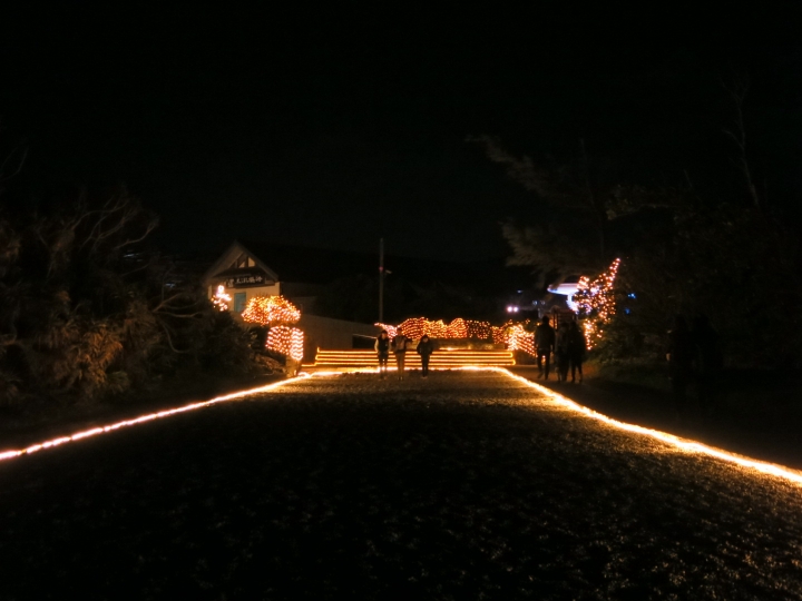 2015跨年連假,跟著寒流去環島