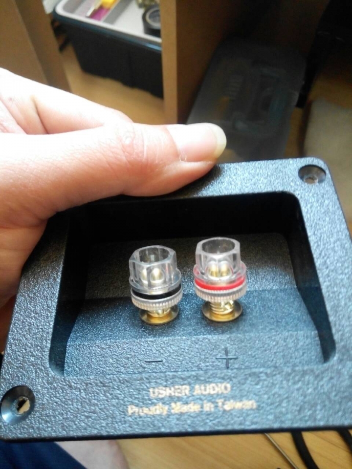 重生的雅瑟Usher S-520與古河Furutech線材的相遇