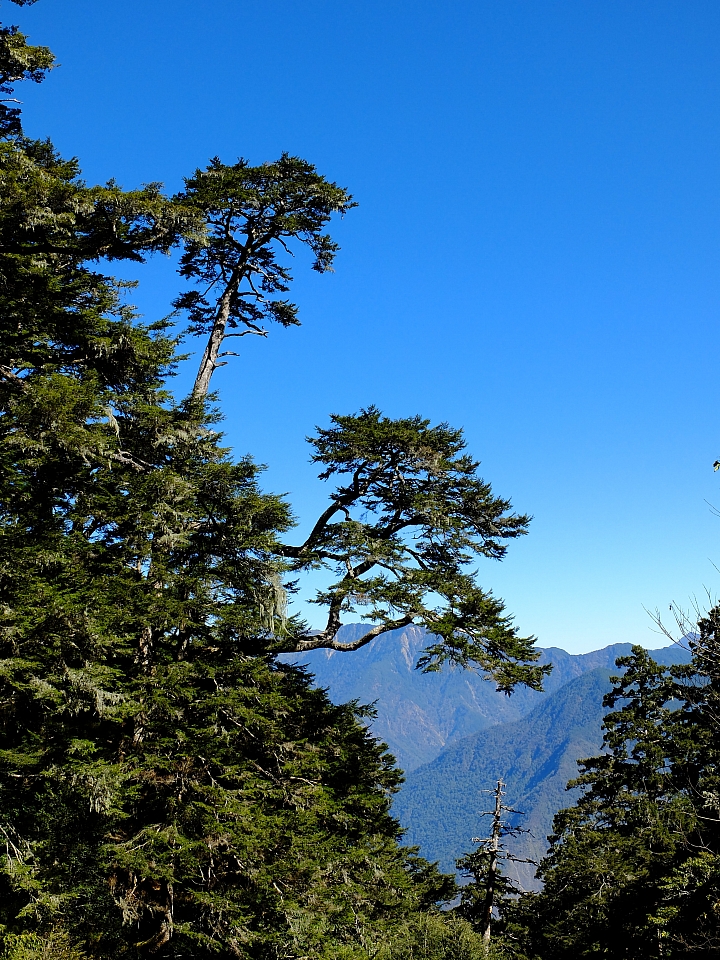 「乘著風，塔塔加踏青」