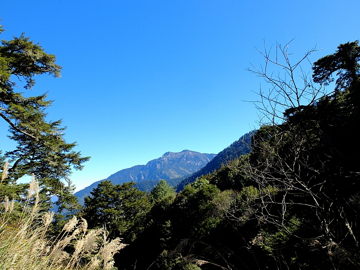 「乘著風，塔塔加踏青」