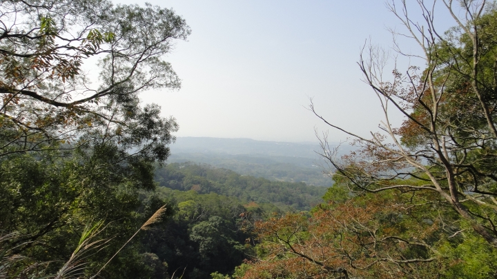 2015-01-03誤入歧途之台13線穿越九華山之旅