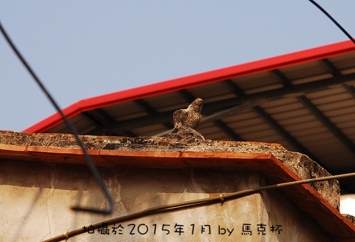 【遊記】重現戰地厝尾頂神鳥-烈嶼自行車尋騎