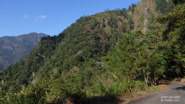 On the road again 2015/01/15 "裡冷林道" 驚鴻一撇