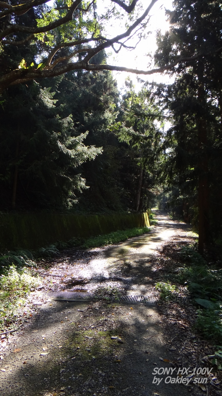 On the road again 2015/01/15 "裡冷林道" 驚鴻一撇