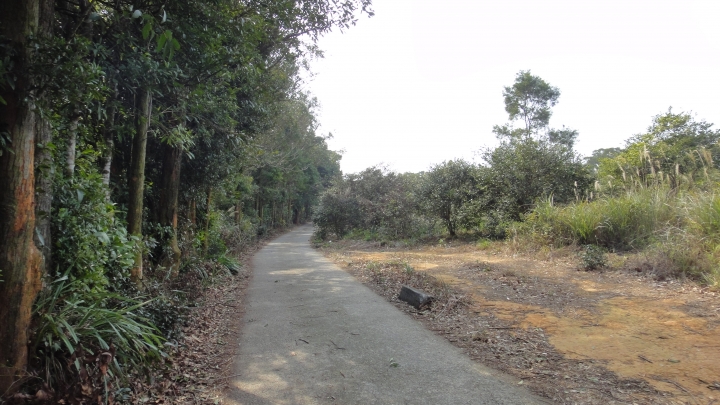 2015-01-03誤入歧途之台13線穿越九華山之旅