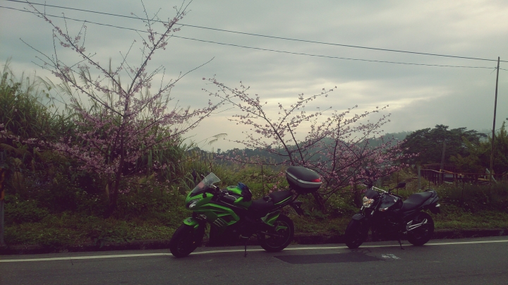 肥吱吱與綠胖胖之來去嘉義住一晚(一月重機小旅行)