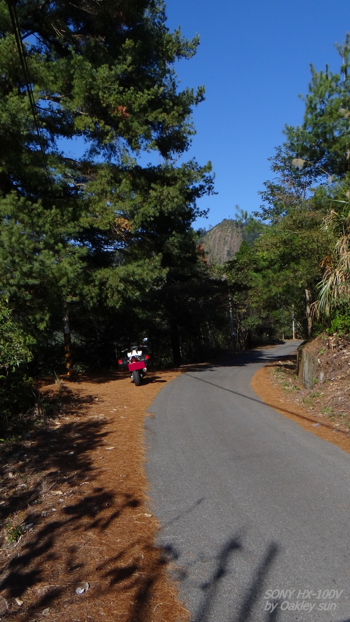 On the road again 2015/01/15 "裡冷林道" 驚鴻一撇