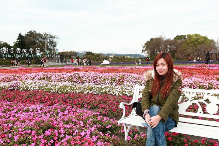 【台中景點】騙人!這不在荷蘭?2015后里中社花市鬱金香花海全攻略懶人包!