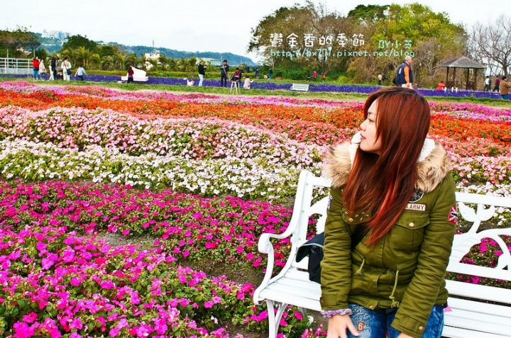 【台中景點】騙人!這不在荷蘭?2015后里中社花市鬱金香花海全攻略懶人包!