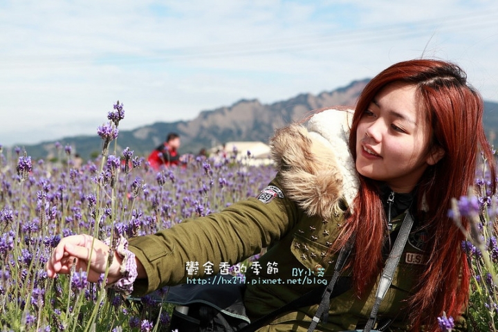 【台中景點】騙人!這不在荷蘭?2015后里中社花市鬱金香花海全攻略懶人包!