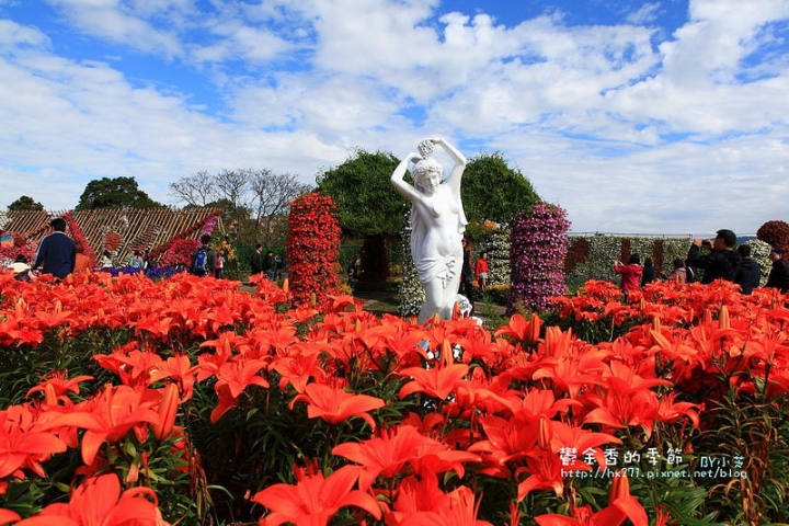 【台中景點】騙人!這不在荷蘭?2015后里中社花市鬱金香花海全攻略懶人包!