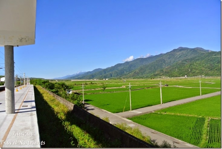 【花蓮.富里】藍天.稻田.青山–收錄花東縱谷間最美麗風景的東里車站