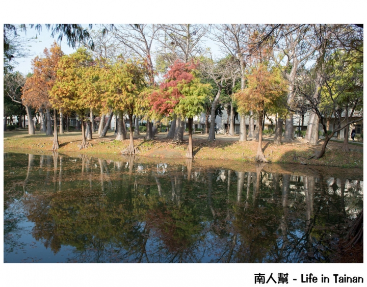 【奇美線一日遊】巴克禮公園.二空樹屋.奇美博物館.仁德糖廠.十鼓.保安車站
