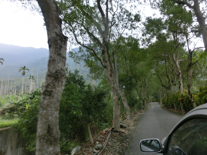 花蓮鳳林鄉/ 被遺忘的故鄉~月蘆 復古日式風格餐廳 (道地的客家料理) - 梅子雞 桶雞私房美味 要訂才吃的到