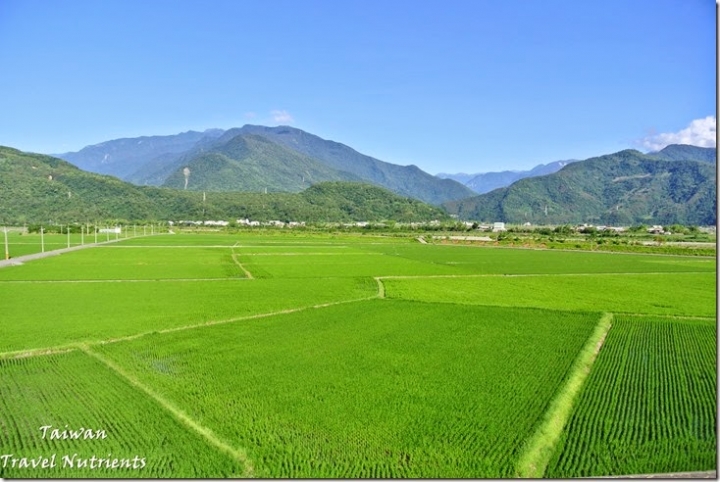 【花蓮.富里】藍天.稻田.青山–收錄花東縱谷間最美麗風景的東里車站