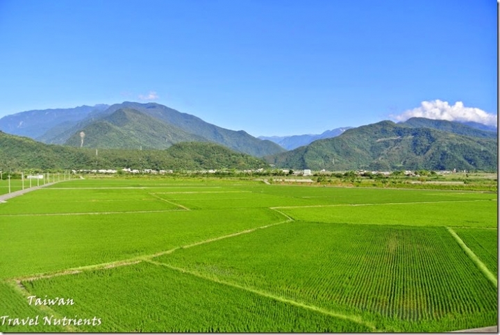 【花蓮.富里】藍天.稻田.青山–收錄花東縱谷間最美麗風景的東里車站