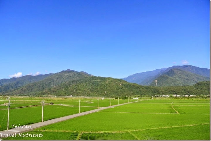 【花蓮.富里】藍天.稻田.青山–收錄花東縱谷間最美麗風景的東里車站