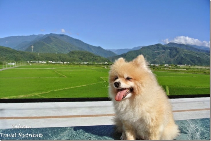 【花蓮.富里】藍天.稻田.青山–收錄花東縱谷間最美麗風景的東里車站