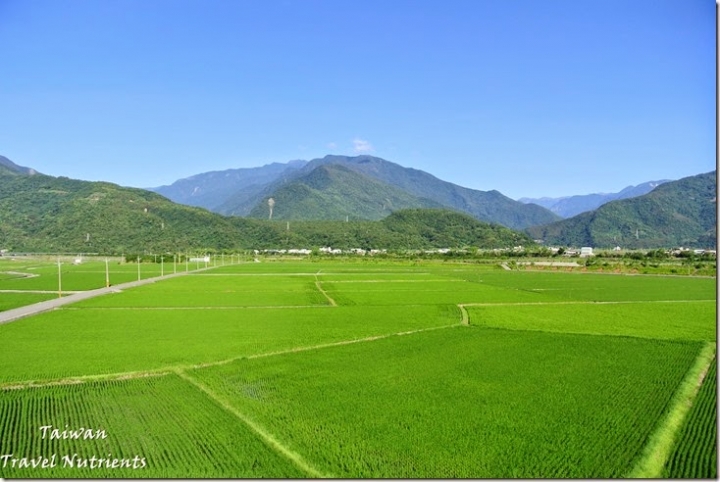 【花蓮.富里】藍天.稻田.青山–收錄花東縱谷間最美麗風景的東里車站