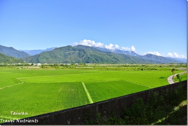 【花蓮.富里】藍天.稻田.青山–收錄花東縱谷間最美麗風景的東里車站