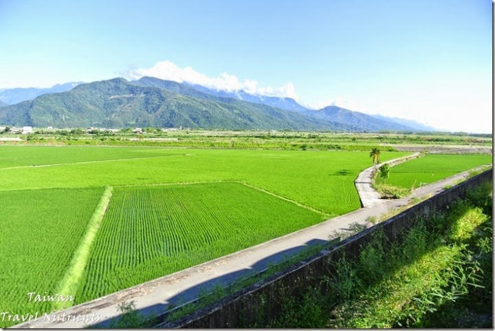 【花蓮.富里】藍天.稻田.青山–收錄花東縱谷間最美麗風景的東里車站