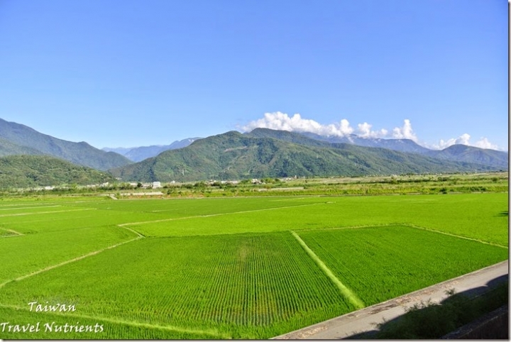 【花蓮.富里】藍天.稻田.青山–收錄花東縱谷間最美麗風景的東里車站