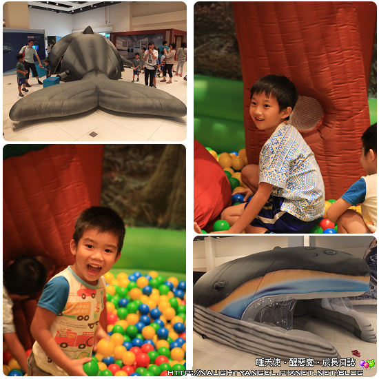 【親子景點】基隆海科館 ◤歡樂收穫多◥ 的海洋小旅行♥