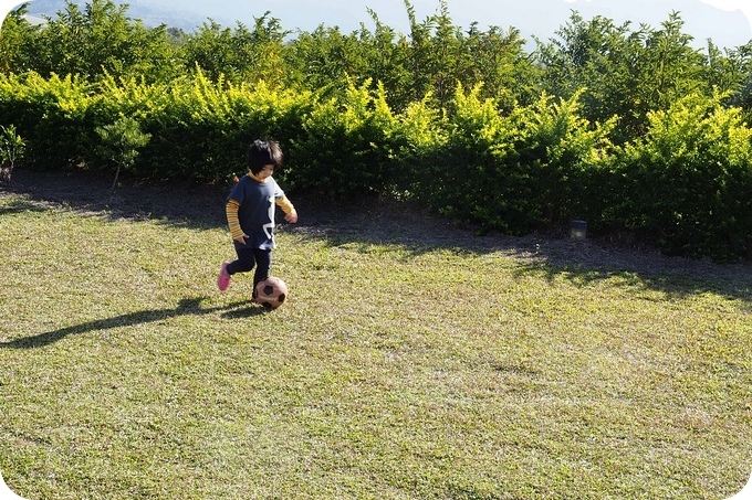 【台東鹿野親子民宿】鹿野森活。豪華大草皮,跑跳小孩超興奮!!