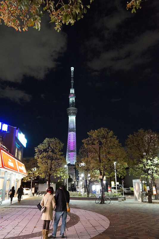 【東京賞櫻】萬頭鑽動的櫻花名見所 100 選~上野公園
