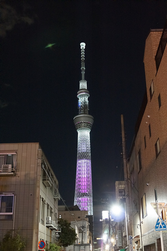 【東京賞櫻】萬頭鑽動的櫻花名見所 100 選~上野公園