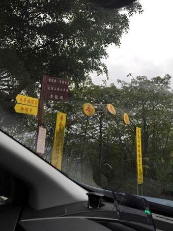 新年愛加倍樹林後花園賞櫻