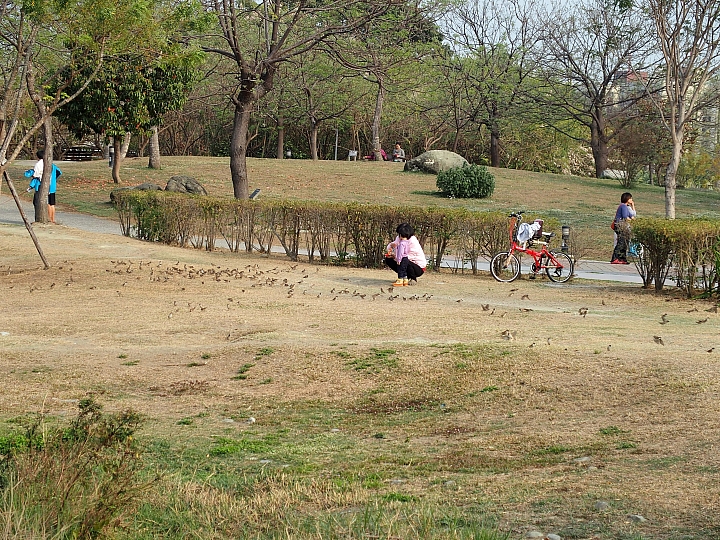 高雄衛武營悠悠哉哉過新年