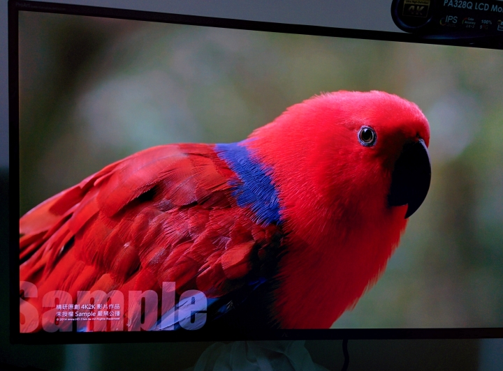 ASUS PA328 螢幕 4K-UHD