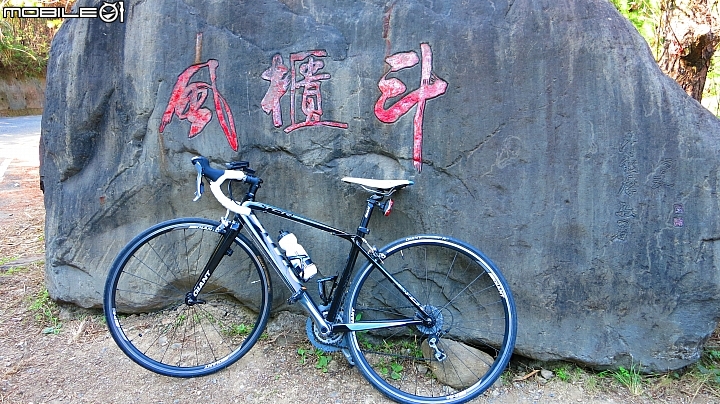 南投賞梅~烏松崙、風櫃斗、牛稠坑