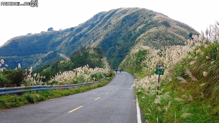 忙芒茫~茶壺山、不厭亭、五分山..經典208
