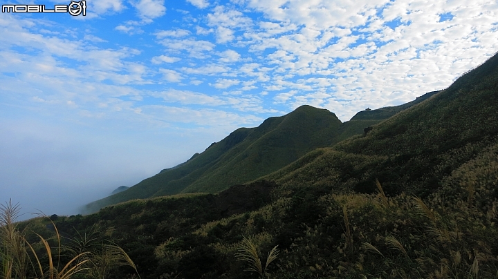 忙芒茫~茶壺山、不厭亭、五分山..經典208