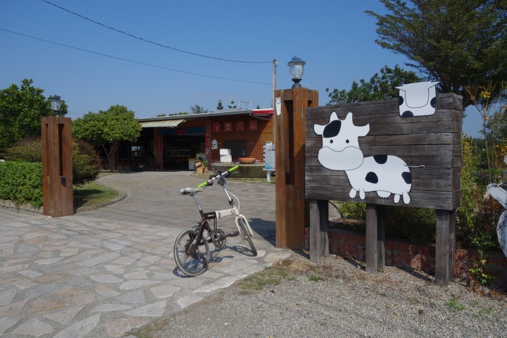 冬季花海限定版,彰化,秀水小旅行,