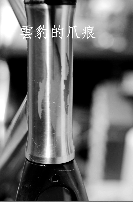 年輕的夢想 3-2.5訂製鈦車