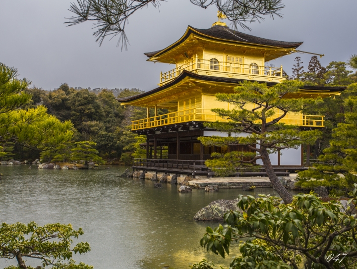 自助日本京阪神奈(攝影)